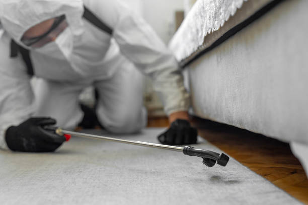 Professional Bed Bug Control technician working in Hainesville, IL