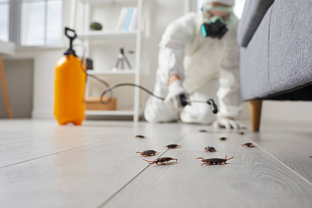 Trusted Cockroach Control service in Hainesville, IL - Nex Pest Control