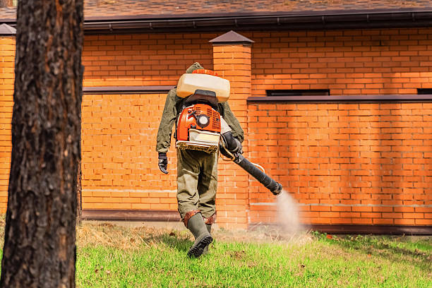Trusted Rodent Control service in Hainesville, IL - Nex Pest Control